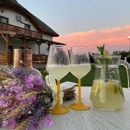 Pensión Pensiunea Casuta Cu Stuf Salcioara (Dobruja)