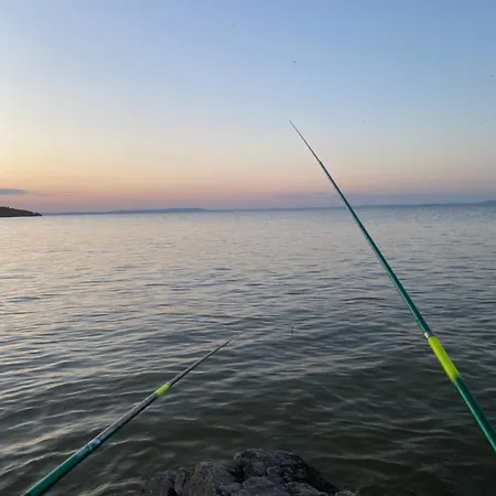 Pensiunea Casuta Cu Stuf Pensión