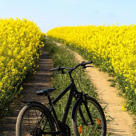 Pensiunea Casuta Cu Stuf 3* Salcioara (Dobruja)