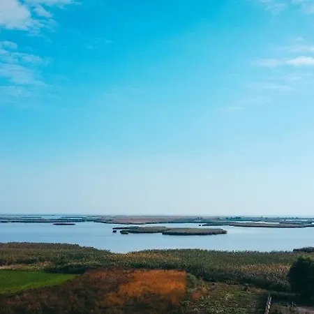 Pensiunea Casuta Cu Stuf بيت ضيافة