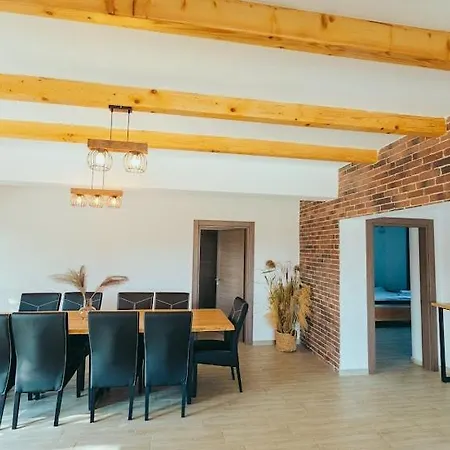 Pensjonat Pensiunea Casuta Cu Stuf 4*