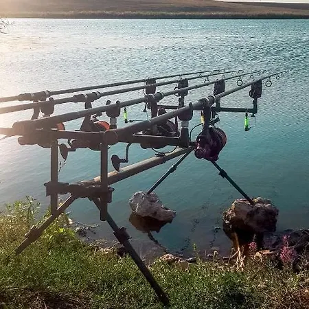 بيت ضيافة Pensiunea Casuta Cu Stuf