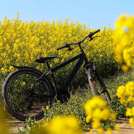 Pensiunea Casuta Cu Stuf بيت ضيافة 3*